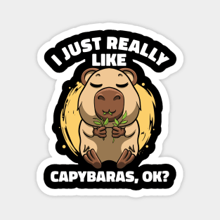 I Just Really Like Capybaras Lover Rodent Zoo Cute Capybara Magnet