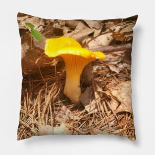 Golden Chanterelle Pillow