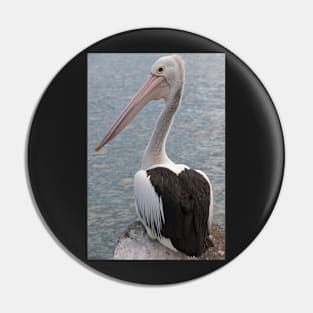 Pelican 1 Pin