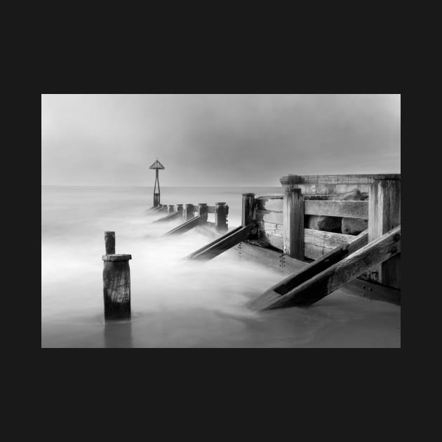 Seaton Sluice Groynes in Black and white by TMcG72