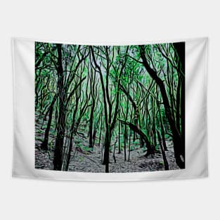 garayonay national park la gomera Tapestry