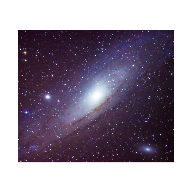 Andromeda Galaxy by StevenElliot