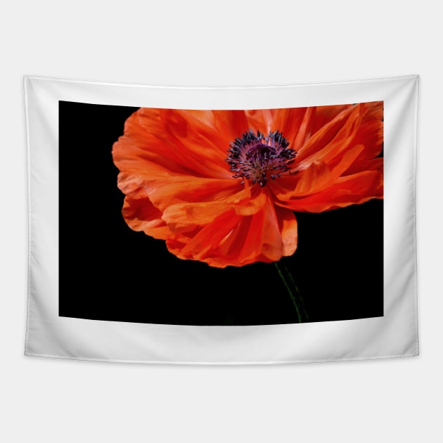 Poppy Tapestry by LaurieMinor