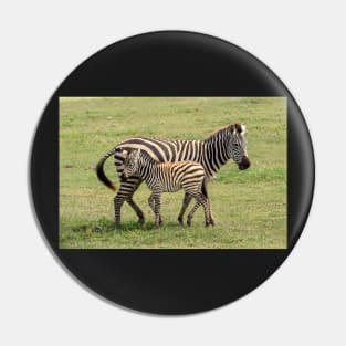 Zebra, Adult and Foal, Ngorongoro Crater, Tanzania Pin