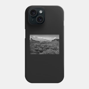 Desert Landscape In Black And White Phone Case