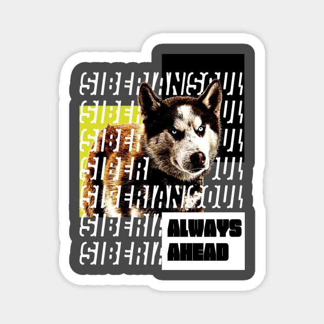 Siberian husky Magnet by hardcore repertoire