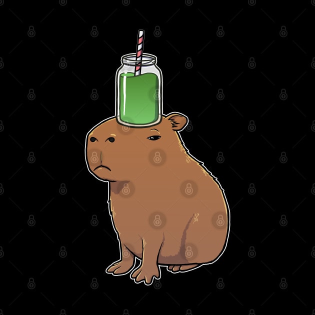 Capybara with a Green Smoothie on its head by capydays