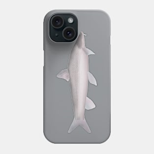 Aral Barbel Phone Case