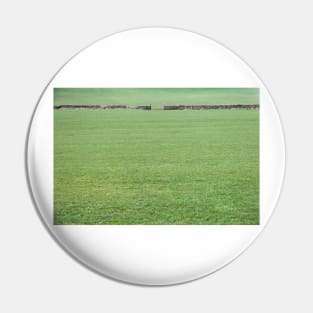 Green Green Grass Of Home Pin