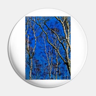 Silver birch trees Pin