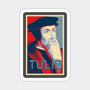 John Calvin TULIP Magnet