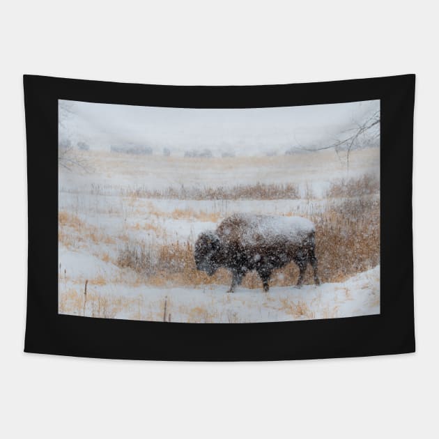 Frozen Prairie Tapestry by gdb2
