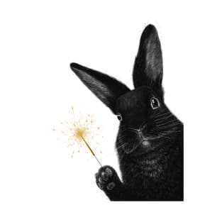 Rabbit with sparkler T-Shirt