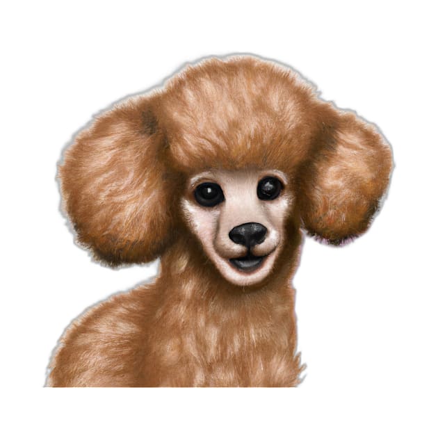 Cute Poodle Drawing by Play Zoo