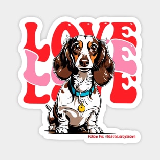 Valentine Long Hair Piebald Dachshund Magnet