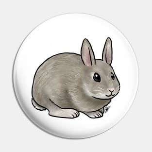 Small Mammal - Rabbit - Netherland Dwarf Pin