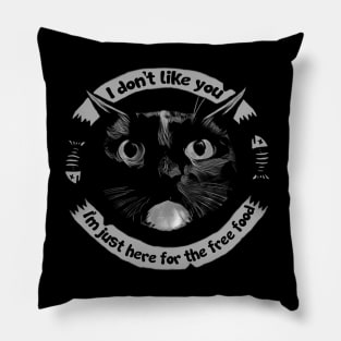 "I don't like you"- Cat Pillow