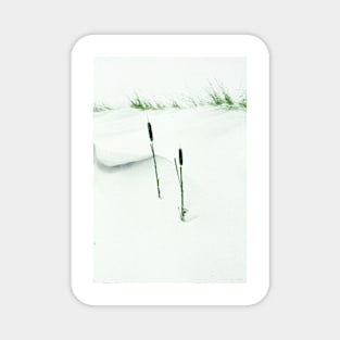 Bull Rushes in a Snow Squall, Ontario Magnet