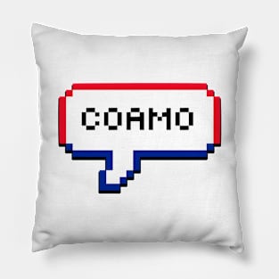 Coamo Puerto Rico PR Bubble Pillow