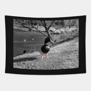 Duck looking at you Tapestry