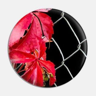 Red leaves on a metal grid Pin