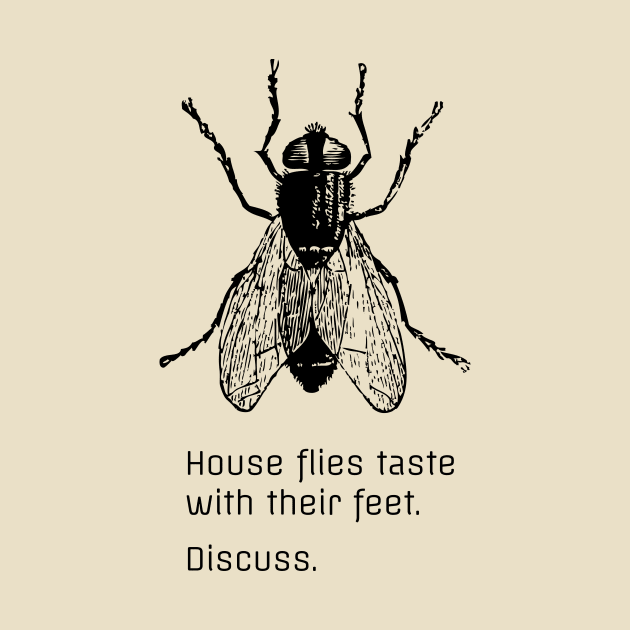 Flies taste with their feet. Discuss. by ClothedCircuit