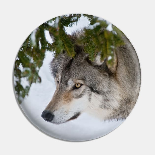 Timber Wolf Pin by jaydee1400