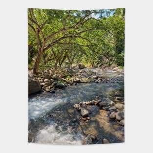 Mountain Stream, Jasaan, Misamis Oriental, Mindanao, Philippines Tapestry