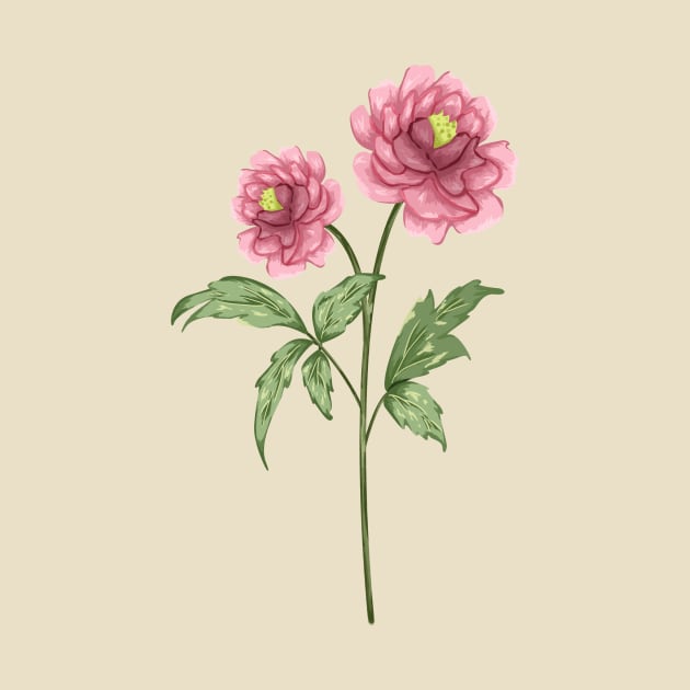 Pink Peony 1 Botanical by Salfiart