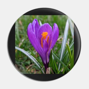 Purple and Orange Flower in Grass Pin