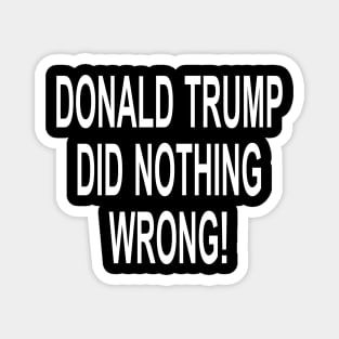 DONALD TRUMP DID NOTHING WRONG Magnet