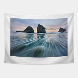 Wild West Coast Tapestry