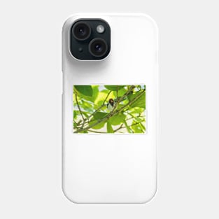 Red-crested cardinal 2 Phone Case