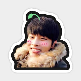 Cute sprout Hakyeon (N) | VIXX Magnet