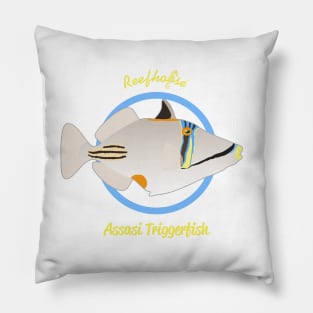 Assasi Triggerfish Pillow