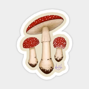 Amanita Muscaria Magnet