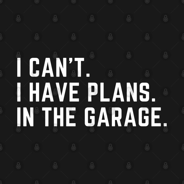 I can't. I have plans. In the garage. by MikeMeineArts