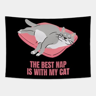 The Best Nap Is With My Cat Fun Design for Cat Lovers Tapestry