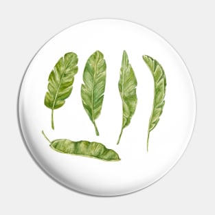 banana leaves Pin