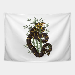 Mangrove Snake with Bamboo Tapestry