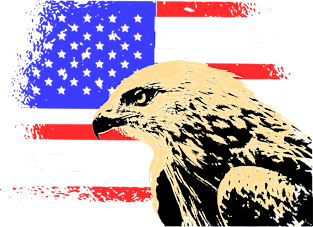 Eagle in front of American Flag Magnet