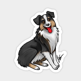 Dog - Australian Shepherd - Tri-color Black Magnet