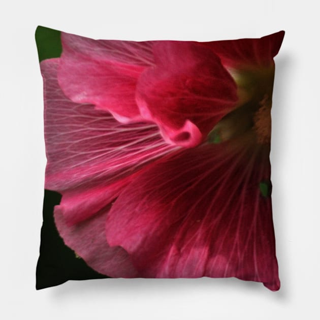 Hollyhock 3 Pillow by michaelasamples