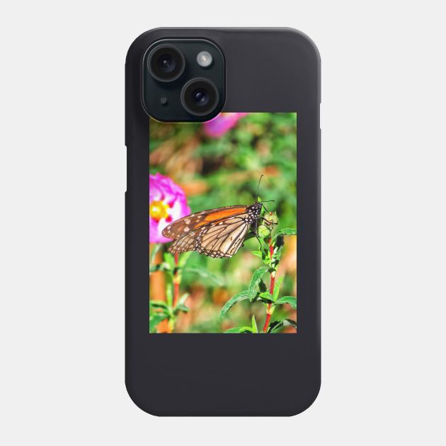 Climb to the top Phone Case by Photography_fan