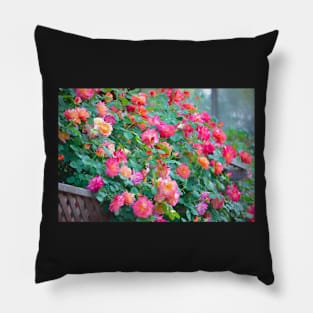 Rose 360 Pillow