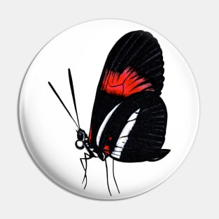 Postman butterfly Pin