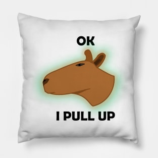 Ok I pull up Pillow