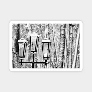 Lamppost in front of snow-covered trees Magnet