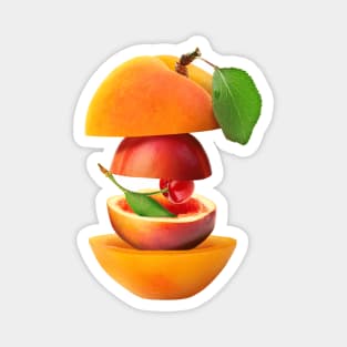 Apricot Plut Cherry Gifts Vegetarian Magnet