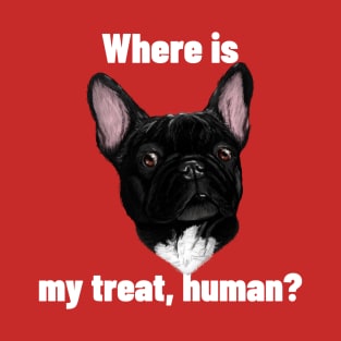 Where is my treat human? T-Shirt